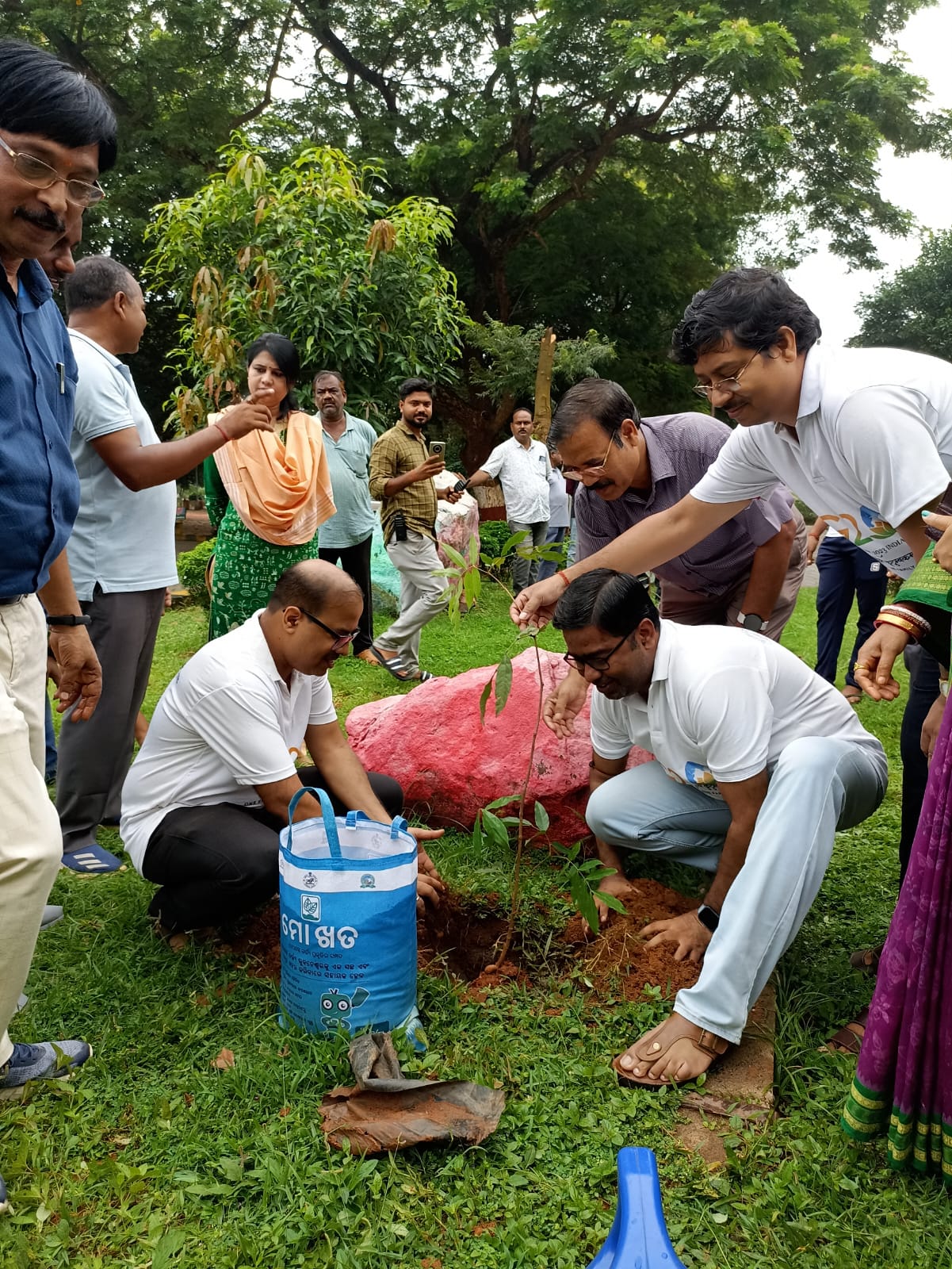 Plantation drive in collaboration with Bhubaneswar  Municipal Corporation in and around the campus